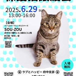 56月29日　ラブとハッピー府中【保護猫譲渡会】