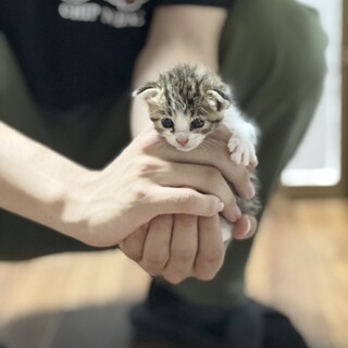 【双子の癒し担当】つむぎ(旧マイ)