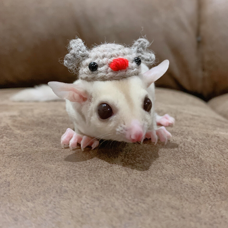 ROMIのカバー写真