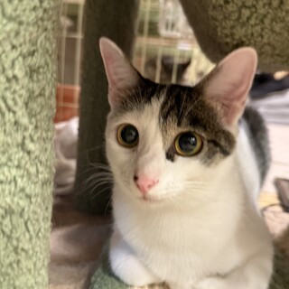 オヤツ大好きな可愛い女の子かりんちゃん