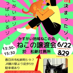 かすがい地域ねこ譲渡会