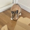 の写真