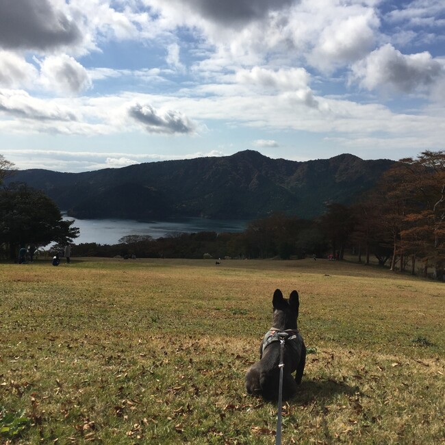 ＠CHOPのカバー写真