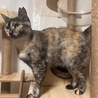 ご飯よりもナデナデが好き★美奈代