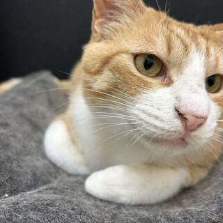 甘えん坊な男の子そらくん！