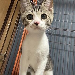 人慣れ抜群甘え上手な男の子