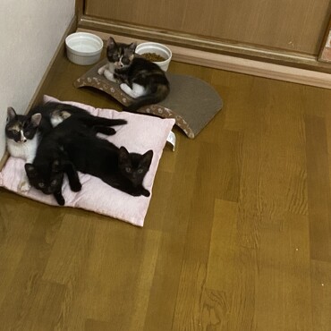 の写真
