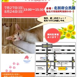 保護ねこの里親会 サムネイル1