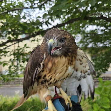 調教されてないけど変なクセもないので、スムーズに据え回しまで来れました
