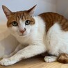 甘えん坊に変身おはなちゃん！