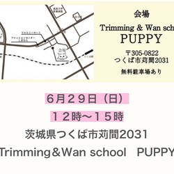 子猫の里親会　in つくばパピー