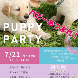 PUPPY PARTY