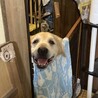  さん