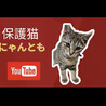 （保護活動者）