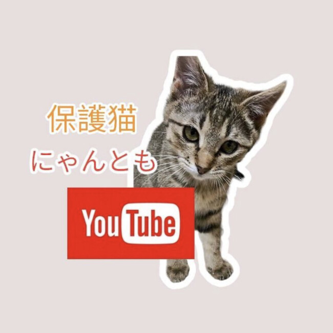 にゃんとものカバー写真