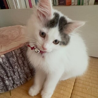 甘々のポピーちゃん♡