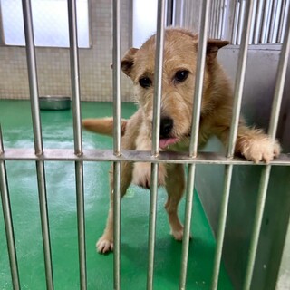 ありがとうございました！