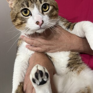 里親様が決まりました。ありがとうございます！！