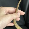 フトアゴヒゲトカゲ サムネイル5