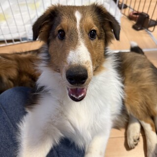 ハンデがあるけど、お転婆で明るい女の子サラちゃん