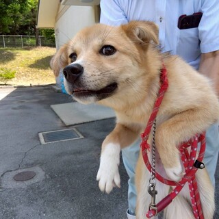 笑顔がカワイイ女の子【まお】ちゃん