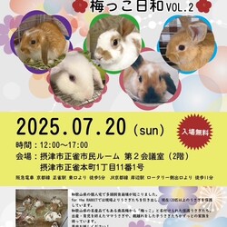 保護うさぎさんに逢おうの会～梅っこ日和VOL.2~