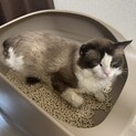 ネグレクトで傷付いた心に寄り添ってくれる家族を