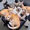 チームちびーず