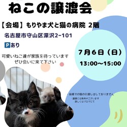 ねこの譲渡会 inもりやま犬と猫の病院