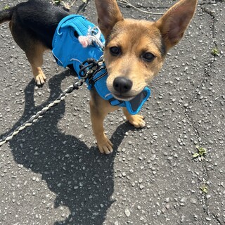 宮古島から来ましたまゆゆ