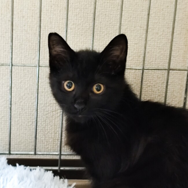 オハナさんのカバー写真