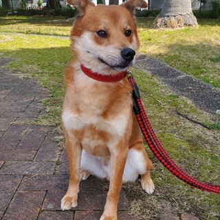 ありがとうございました！