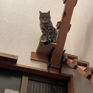 ミミコ？ボクには関係ない(O_O)