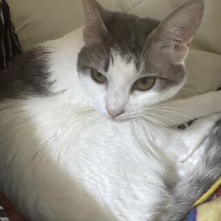 大切に育ててくれる方