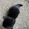 そらまりん