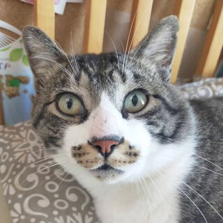 【トライアル中】甘えん坊イケメン！『ふうたくん』