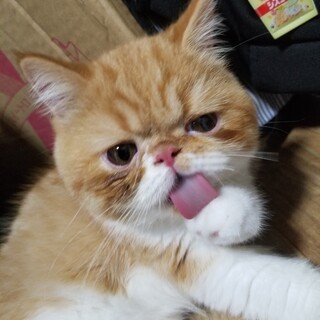 茨城県つくば市　