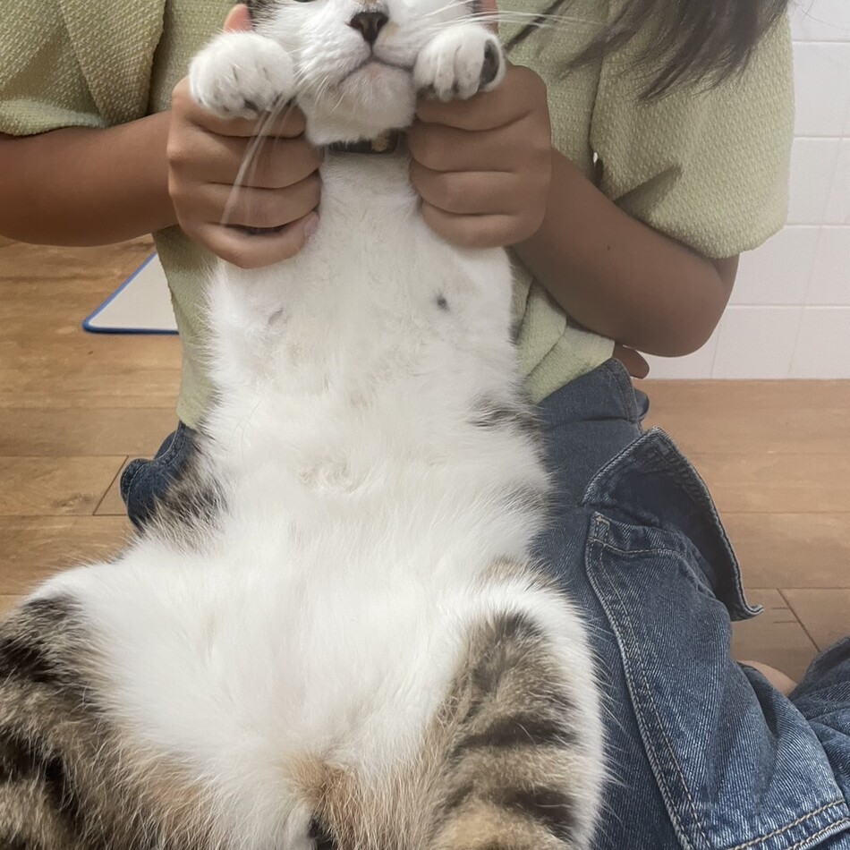ナモのカバー写真