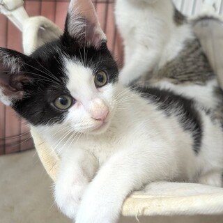 【7/27東日本橋】明朗活発❤️せいやくん