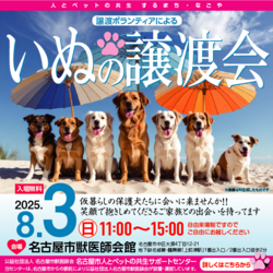 犬の譲渡会☆大須商店街近く