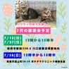 里親決定。うに君2ヶ月半 サムネイル7