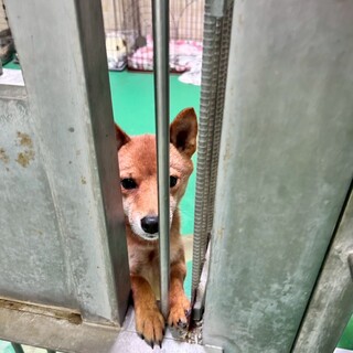 ありがとうございました！