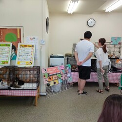 まだら家 サムネイル2