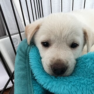 【何事にも興味津々な男の子】もちくん