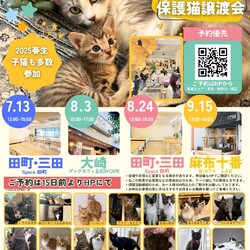 みなとねこ田町＆三田駅前譲渡会