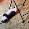 ムニィ