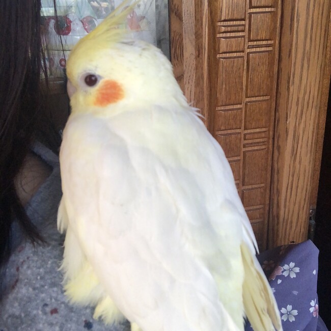 ひろしさんちのカバー写真