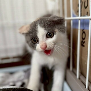  7/13プレザンメゾン朝霞参加　るかちゃん