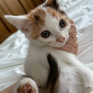 7/13プレザンメゾン朝霞参加　なぎちゃん