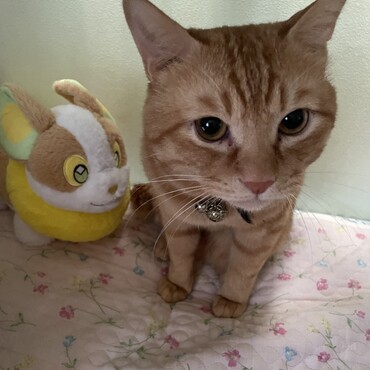 おともだちと